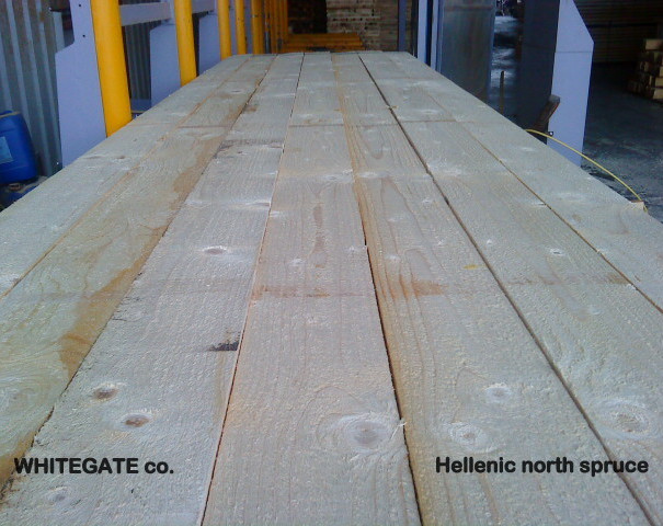 Hellenic Spruce