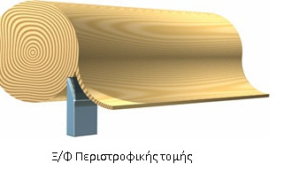 Περιστροφική τομή Ξυλόφυλλου