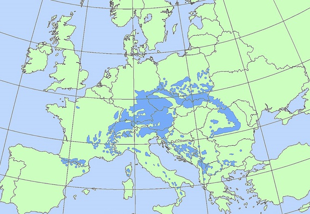 Εξάπλωσης της Λευκής Ελάτης και των υβριδίων τους