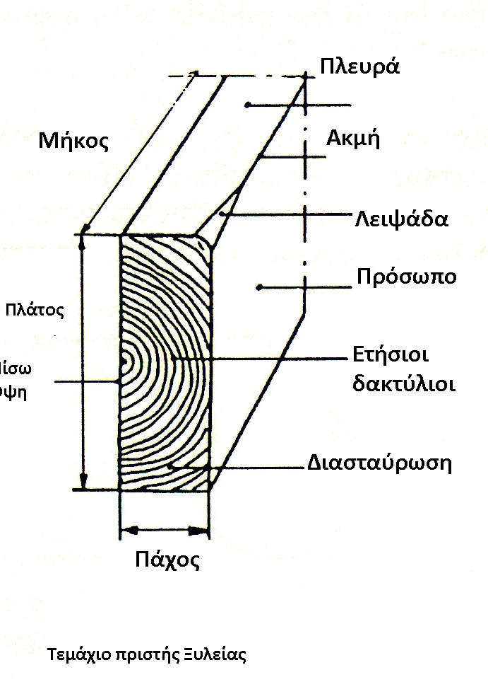 Αναγνώριση Ξυλοτεμαχίου-Όροι