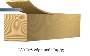 Παλινδρομική τομή