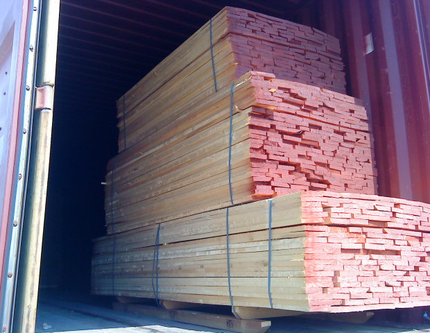 Hellenic Poplar